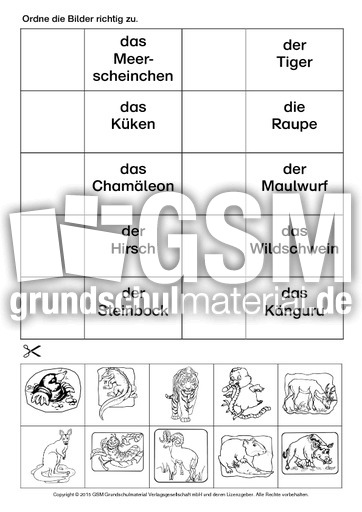 AB-DAZ-Tiere-zuordnen-7.pdf